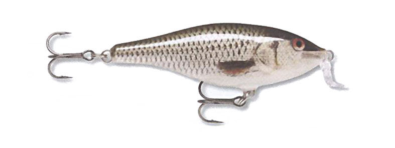 Rapala-Shad-Rap-velika